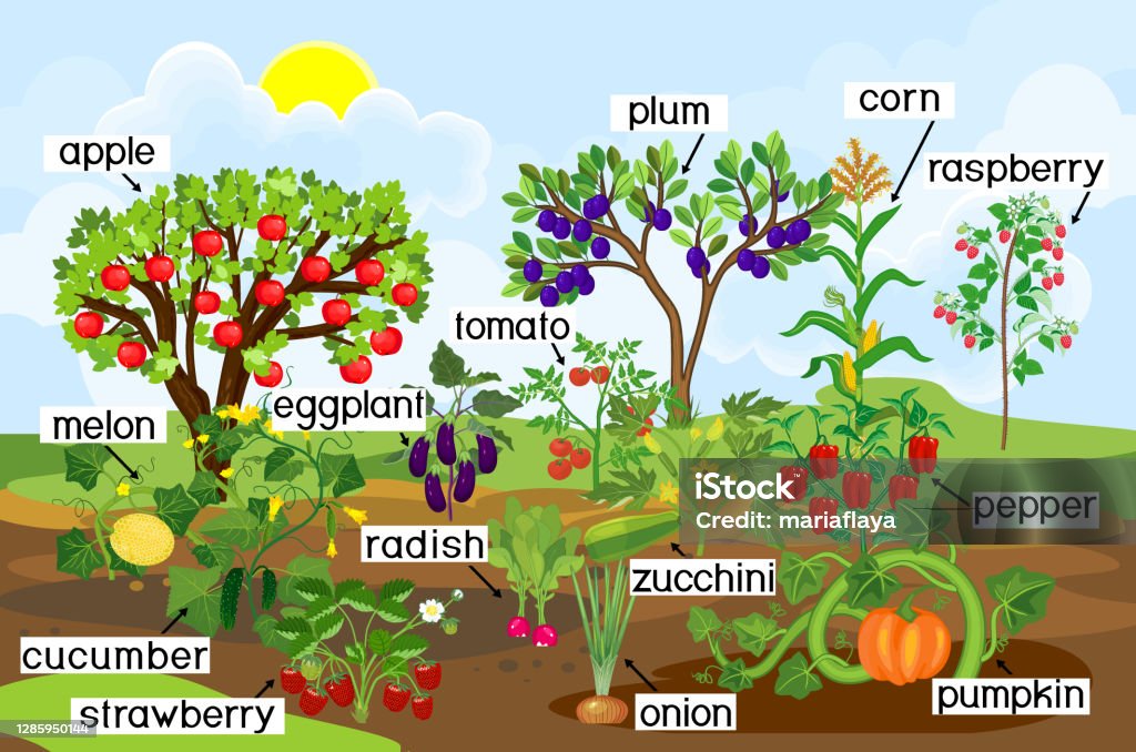 Garden Planner
